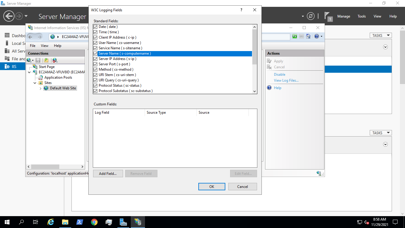 iis logon type